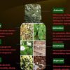 MK Pure Herbal Big Dick Natural Oils- Herbal Enlargement Russian Titan Gel,Big Dick Enlargement Cream Size Delayed Premature Ejaculation Genuine Ships from USA - Image 4